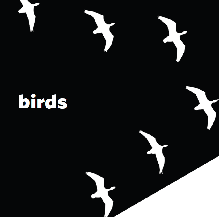 In the Beginning_4.png