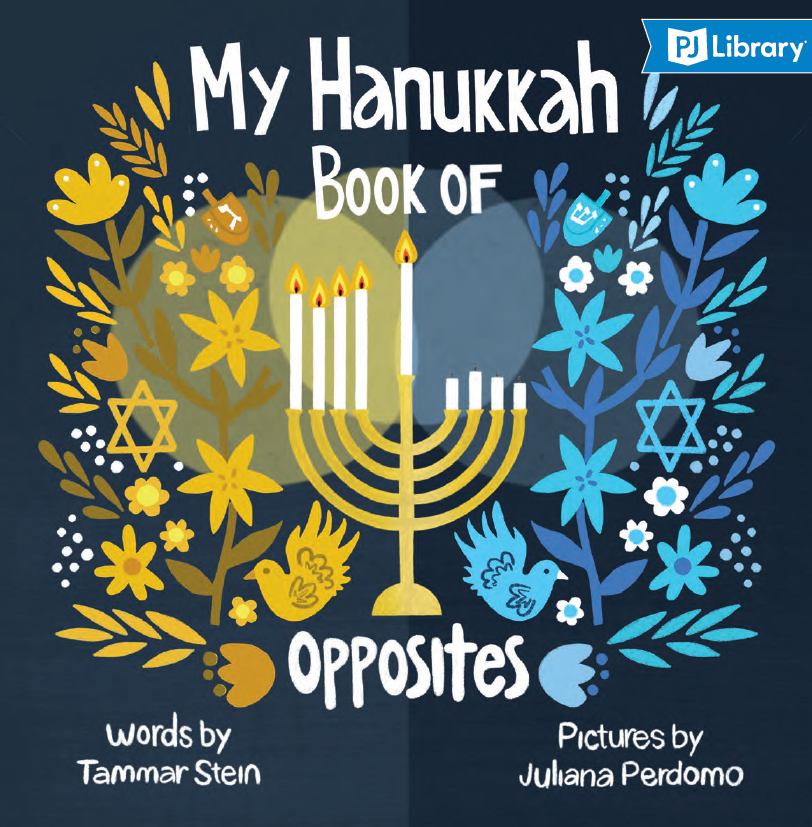 My Hanukkah Book of Opposites